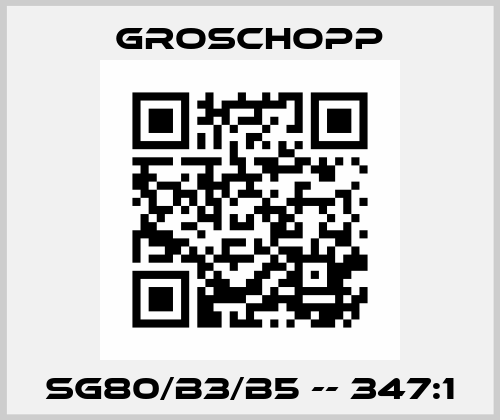 SG80/B3/B5 -- 347:1 Groschopp
