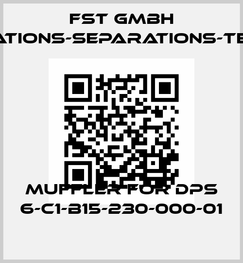muffler for DPS 6-C1-B15-230-000-01 FST