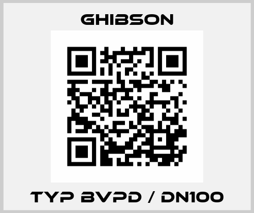 Typ BVPD / DN100 Ghibson