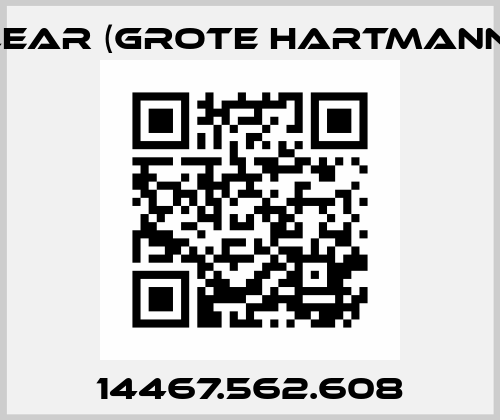 14467.562.608 Grote Hartmann