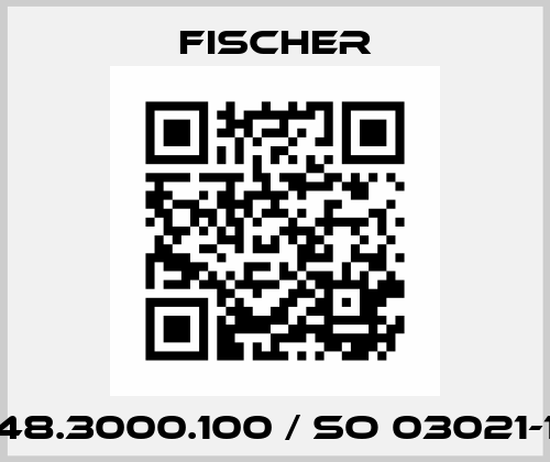 248.3000.100 / SO 03021-10 Fischer