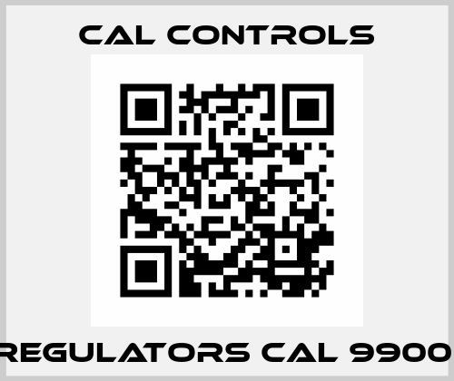 REGULATORS CAL 9900  Cal Controls