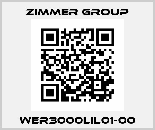 WER3000LIL01-00 Zimmer Group