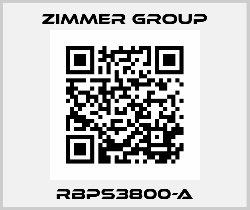 RBPS3800-A Zimmer Group