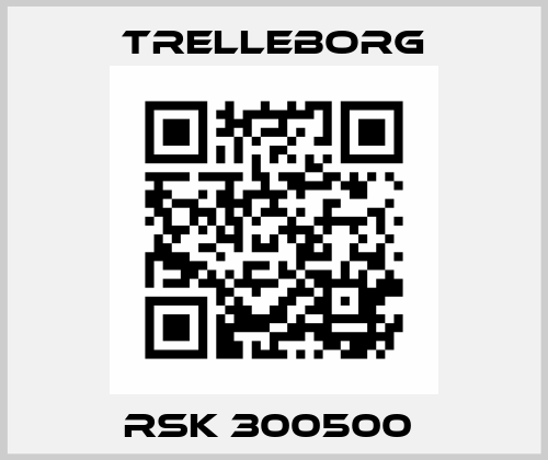 RSK 300500  Busak Shamban (Trelleborg)