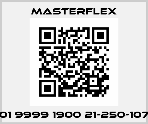 01 9999 1900 21-250-107 Masterflex