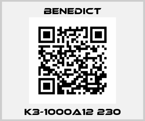 K3-1000A12 230 Benedict