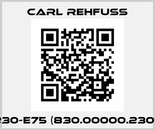 FR230-E75 (830.00000.23017.0) Carl Rehfuss