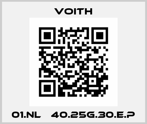01.NL   40.25G.30.E.P Voith