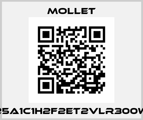 DF25A1C1H2F2ET2VLR300W00 Mollet