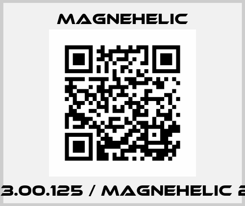 02-23.00.125 / MAGNEHELIC 2300 Magnehelic