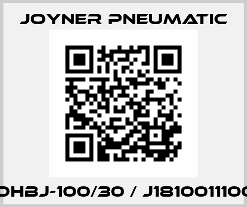 AUDHBJ-100/30 / J181001110030 Joyner Pneumatic