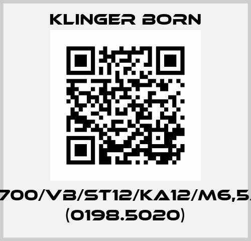 K700/VB/ST12/KA12/M6,5A (0198.5020) Klinger Born