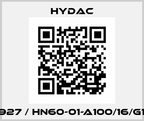 617927 / HN60-01-A100/16/G1/2B Hydac