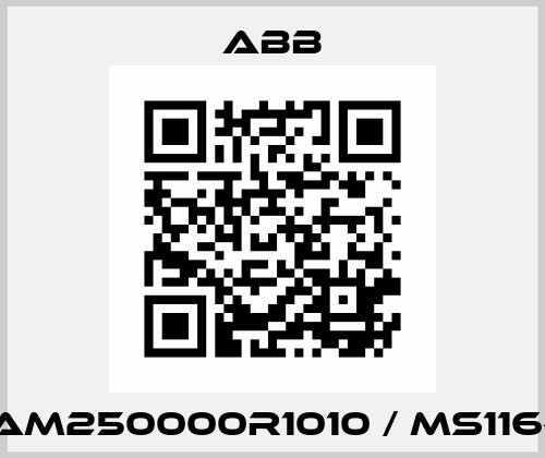 1SAM250000R1010 / MS116-10 ABB