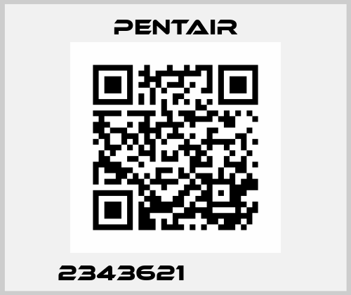 2343621               Pentair