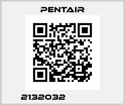 2132032               Pentair