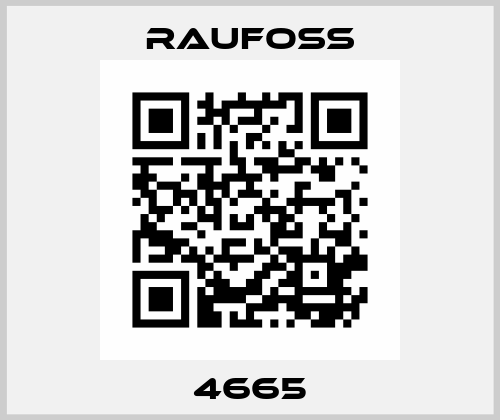 4665 Raufoss