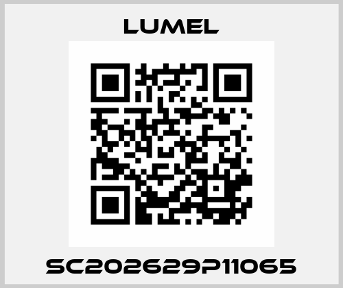 SC202629P11065 LUMEL