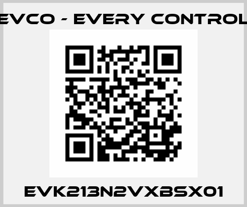 EVK213N2VXBSX01 EVCO - Every Control