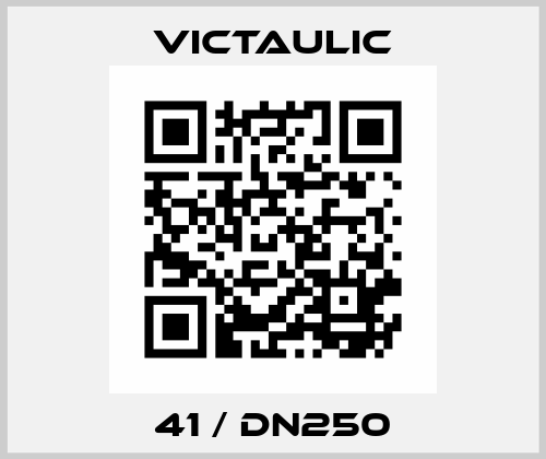 41 / DN250 Victaulic