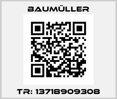 TR: 13718909308 Baumüller