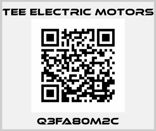 Q3FA80M2C TEE Electric Motors