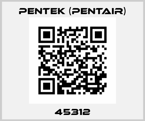 45312 Pentek (Pentair)