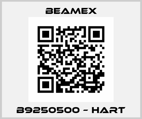 B9250500 – HART Beamex
