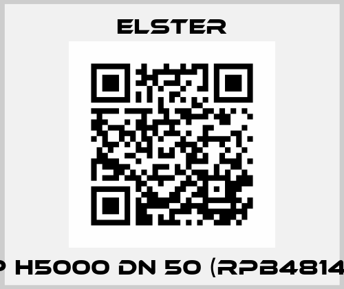 WP H5000 DN 50 (RPB4814-H) Elster
