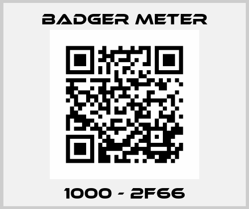 1000 - 2F66 Badger Meter