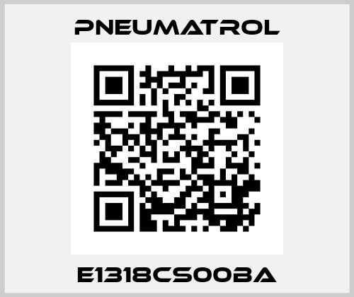 E1318CS00BA Pneumatrol