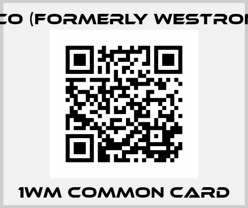1WM COMMON CARD Luxco (formerly Westronics)