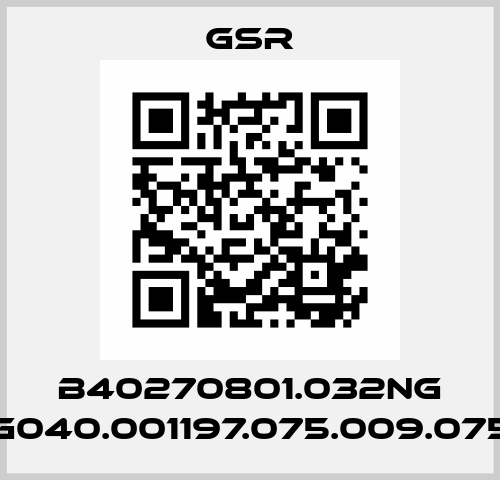 B40270801.032NG (G040.001197.075.009.075) GSR