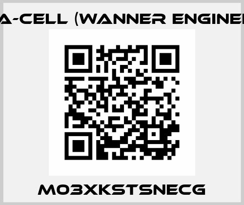 M03XKSTSNECG Hydra-Cell (Wanner Engineering)