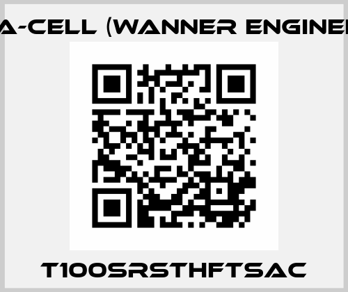 T100SRSTHFTSAC Hydra-Cell (Wanner Engineering)