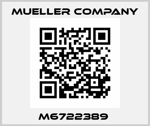M6722389  Mueller Company