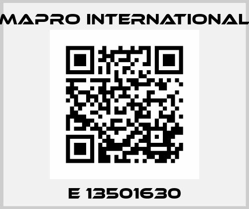 E 13501630 MAPRO International