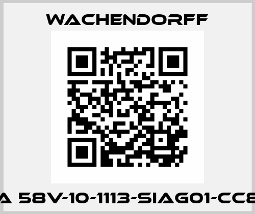 WDGA 58V-10-1113-SIAG01-CC8 H25 Wachendorff