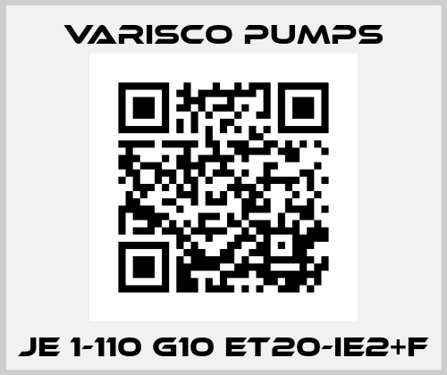 JE 1-110 G10 ET20-IE2+F Varisco pumps