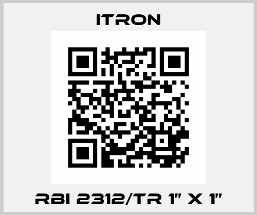 RBI 2312/TR 1” x 1” Itron