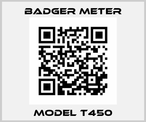 MODEL T450 Badger Meter