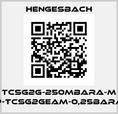 TCSG2G-250mbarA-M (P-TCSG2GEAM-0,25barA) Hengesbach