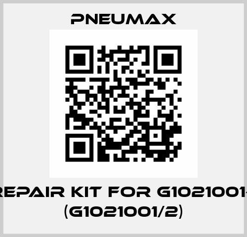 Repair kit for G1021001-1 (G1021001/2) Pneumax