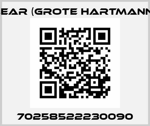 70258522230090 Lear (Grote Hartmann)