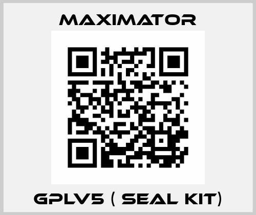GPLV5 ( seal kit) Maximator