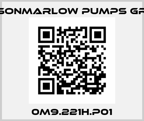 0M9.221H.P01 Watsonmarlow Pumps Group