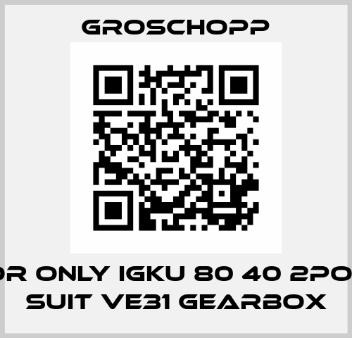 Motor only IGkU 80 40 2pole to suit VE31 gearbox Groschopp