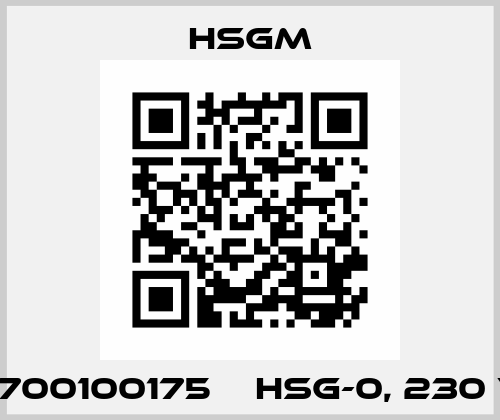 2700100175    HSG-0, 230 V HSGM