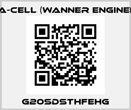 G20SDSTHFEHG Hydra-Cell (Wanner Engineering)